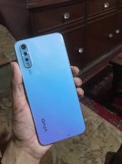 vivo