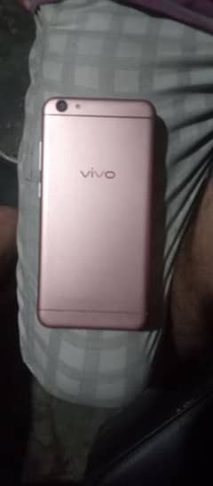 vivo