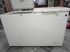 Pel Double Door Deep Freezer - Full Size