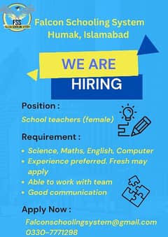 Job as Primary and Montessori School teacher