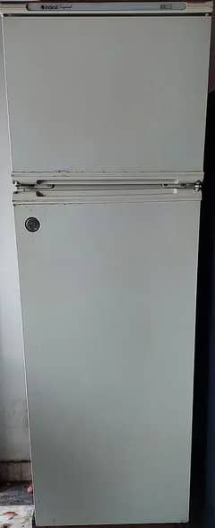 Indesit Fridge