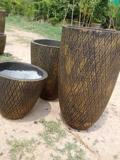 saling planters