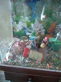 aquarium for sale very good condition with Cage
