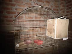 parrots cage.