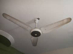 SK ceiling fans for sale in an excellent and working condition