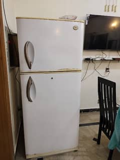 LG Full size imported Refrigerator