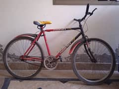 Phoenix bicycle for sale,in a very low price,