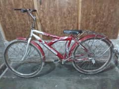 24inch Red bicycle for sale mobile number 03464294601