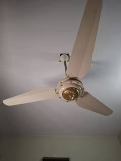 Royal ceiling fan look like a new condition