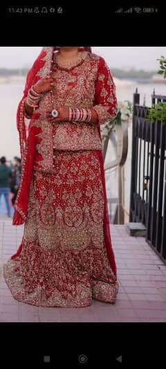 bridal shararat