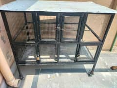 2 portion cage 10x10 condition size 4x4x2 7 pair pfanci pigeon1800pair