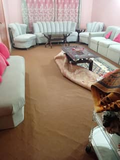 Brown carpet for sell length 20 width 12  240 square feet