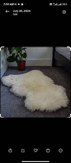 Sheep wool rugs also used as prayer mat and sitting cushion