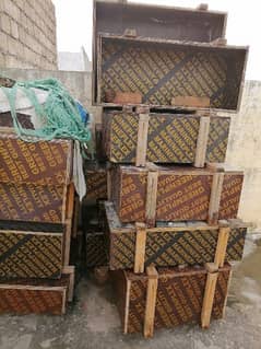 palai Wood boxes for shipping and cargo purpose