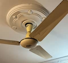 CEILING FANS