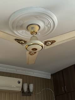 CEILING FANS