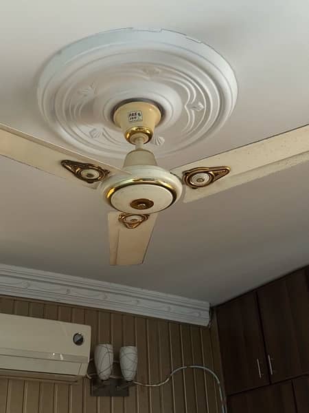 CEILING FANS 1