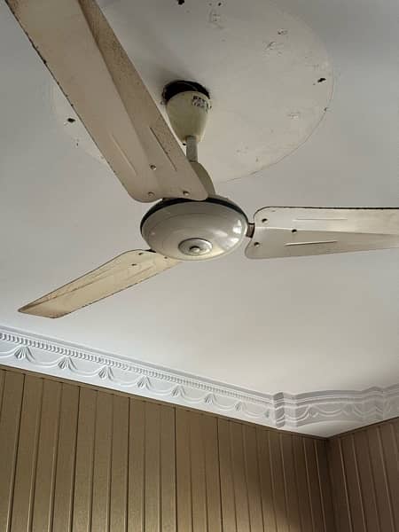 CEILING FANS 3