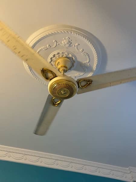 CEILING FANS 4