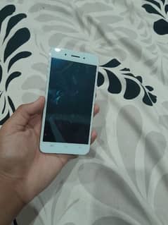 vivo y55A for sale exchange possible for iphone 6s or 7 non pta ho gai
