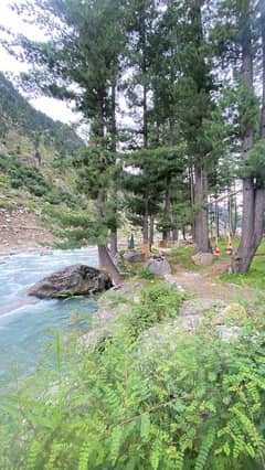 4 Kanal Residential Plot Is Available For Sale In Kumrat Valley Upper