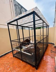 Big cage for Goats and Dogs