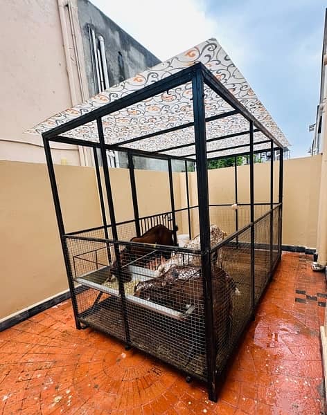 Big cage for Goats and Dogs 0