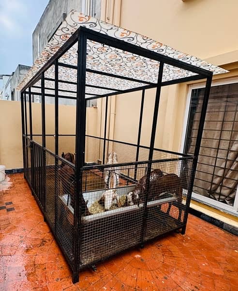 Big cage for Goats and Dogs 2