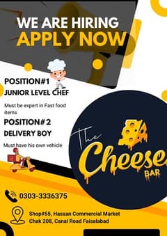 Delivery Boy / Junior Level Chef