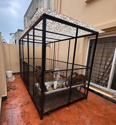 Nagra Bakra Makhi Cheeni Bakri aur 2 Path with Big Cage