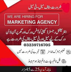 staff required urgent males and females office work home base