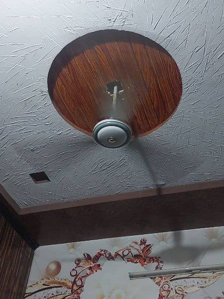 ceiling fan چھت والا پنکھا 0