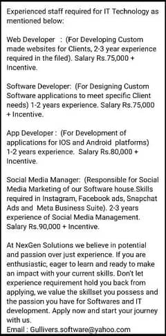 Web developer/I. T field