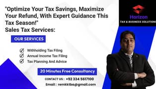 Tax Savings,Expert Guidance,Maximize Refund,Tax Optimization,Tax Plan