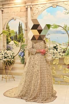 Walima Wedding Bridal Dress Golden/Skin Chiffon Maxi