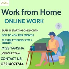 online jobs/full time/part time/simple typing jobs for boys and girls