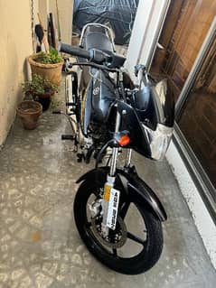 Yamaha YBR 125 black 2023 registered