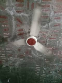 celling fan A1 condition