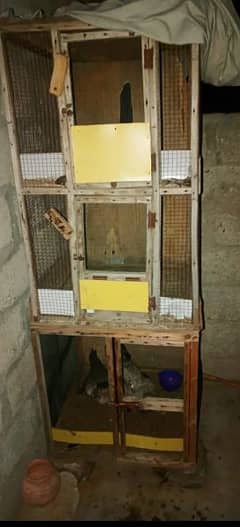 Big hen cage