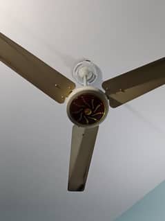 Floor Fan for sale 03215592410