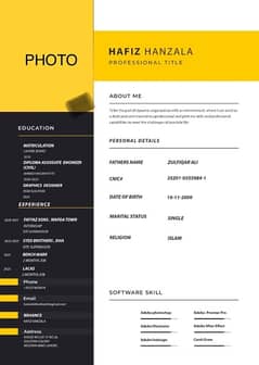 PROFESSIONAL CV DESIGNER