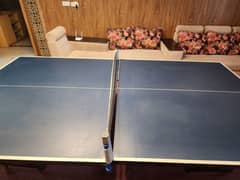 Table tennis with rackets and net