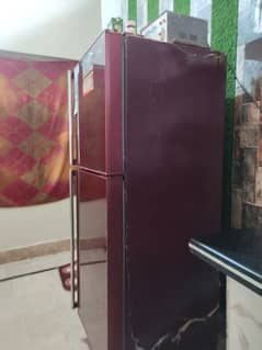 Orient Refrigerator Medium