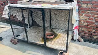 cage for sale 03440420478
