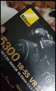 Nikon D5300 body with kit lens