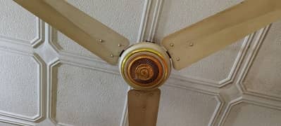 Full size ceiling fan