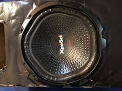 Sony Expod woofer