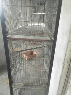 cage foulding 9portion 0