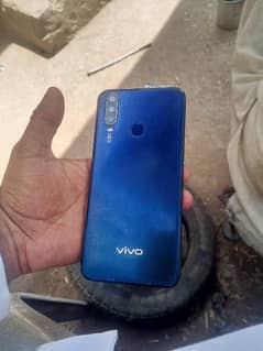 vivo