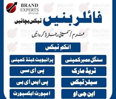 PROPOSAL, INSURANCE,LEGAL HELP,TAX FILER service